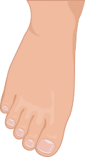 226