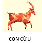 C C
