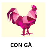 C G