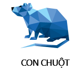 Cc