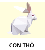 Ct