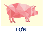 Bn